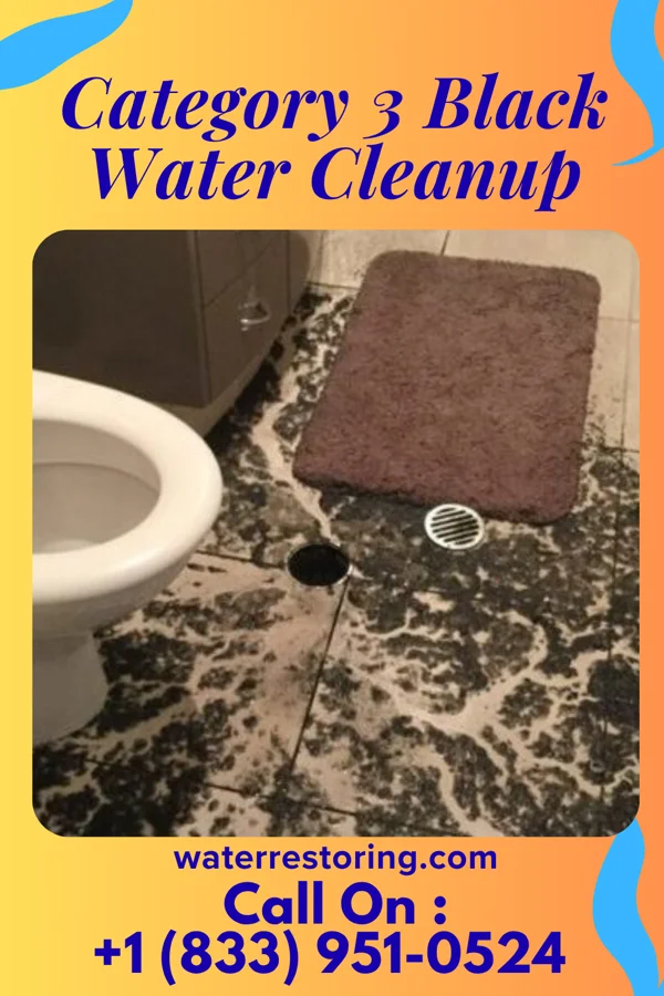 Category 3 Black Water Cleanup in Ballston Spa, NY
