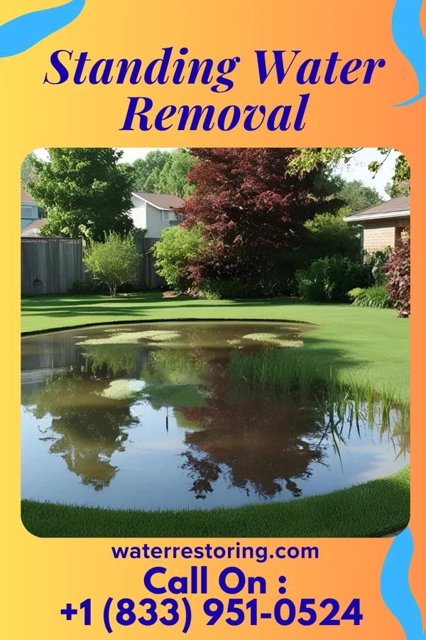 Standing Water Removal in Ballston Spa, NY